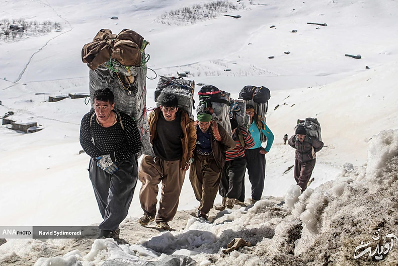 (تصاویر) کولبران کردستان